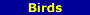 From parrots to poultry needs, Penbroke has it covered.