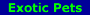 Rave about reptiles?  Tickled pink by turtles?  Fancy frogs?